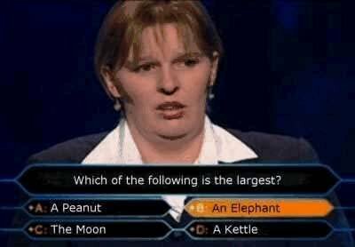 Millionaire Fail Elephant